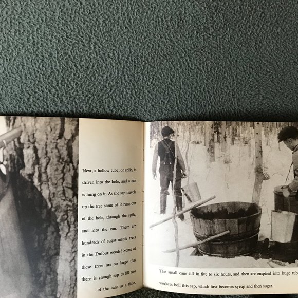 8 Vintage 1946-7 Encyc Brit. Picture stories: books 1-3, 5, 7, 12 / True Nat. - Picture 5 of 5